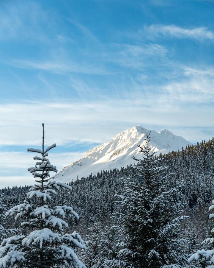 Glacier Creek Cabins 수어드 외부 사진